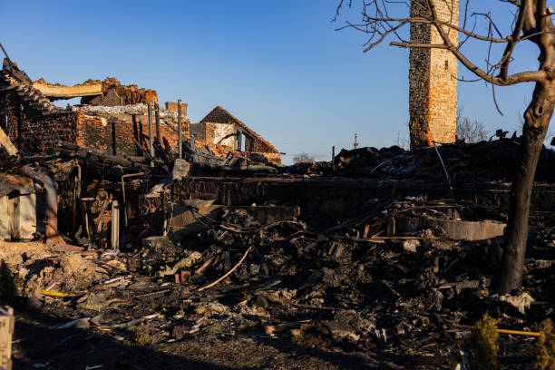 Reliable Content Restoration contractor in Bridgeport, WA by Fire Damage Laser Cleaning